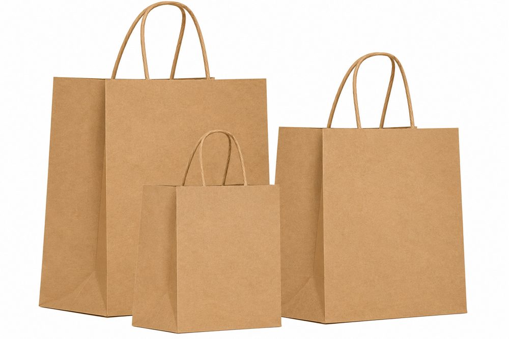 Kraft Paper Bags